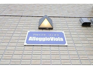 Alloggio Viola（ｱﾛｯｼﾞｵｳﾞｨｵﾗ）の物件外観写真